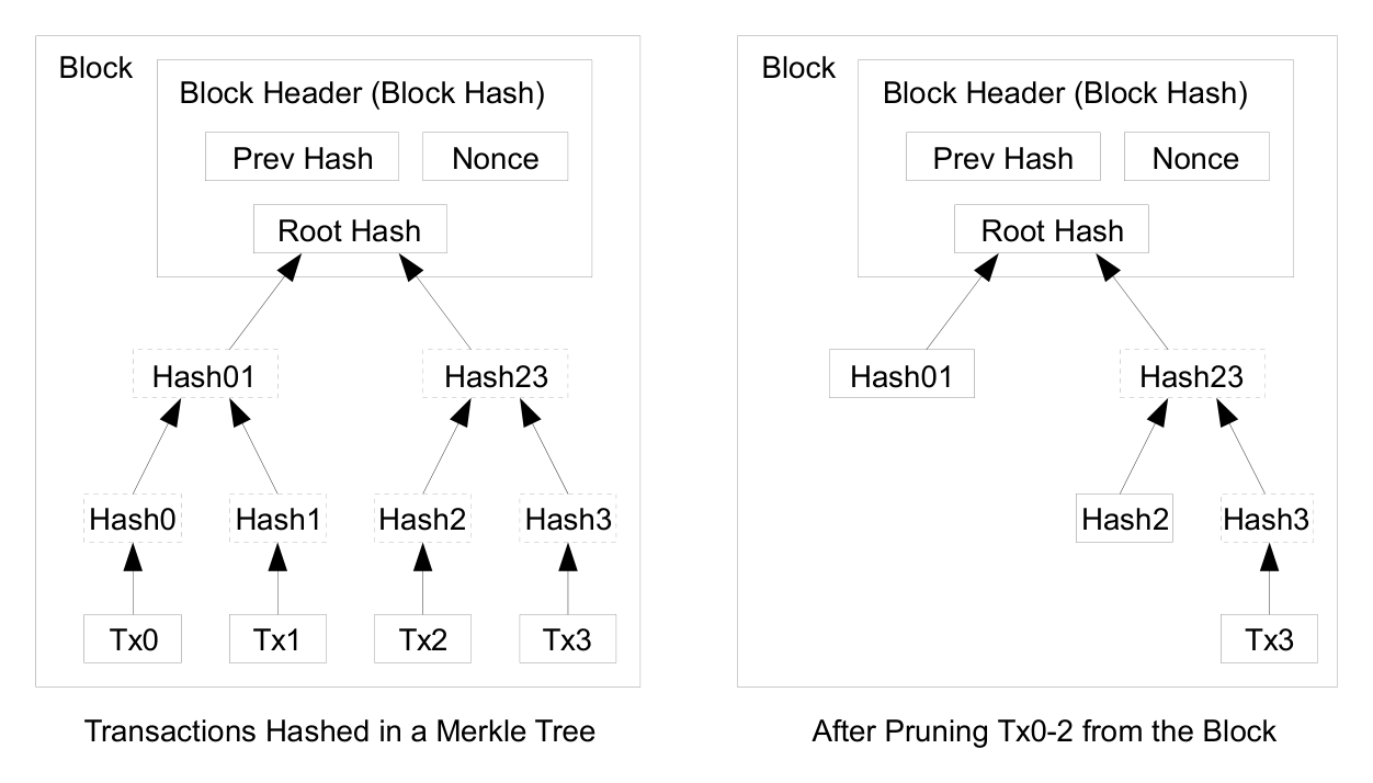 Merkle tree and pruning