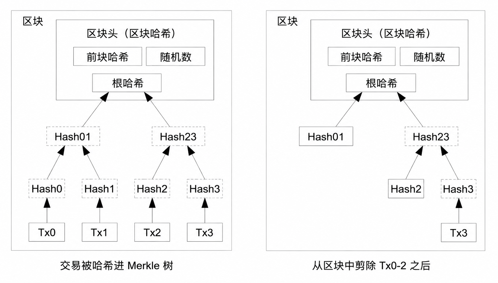 Merkle 树与剪枝